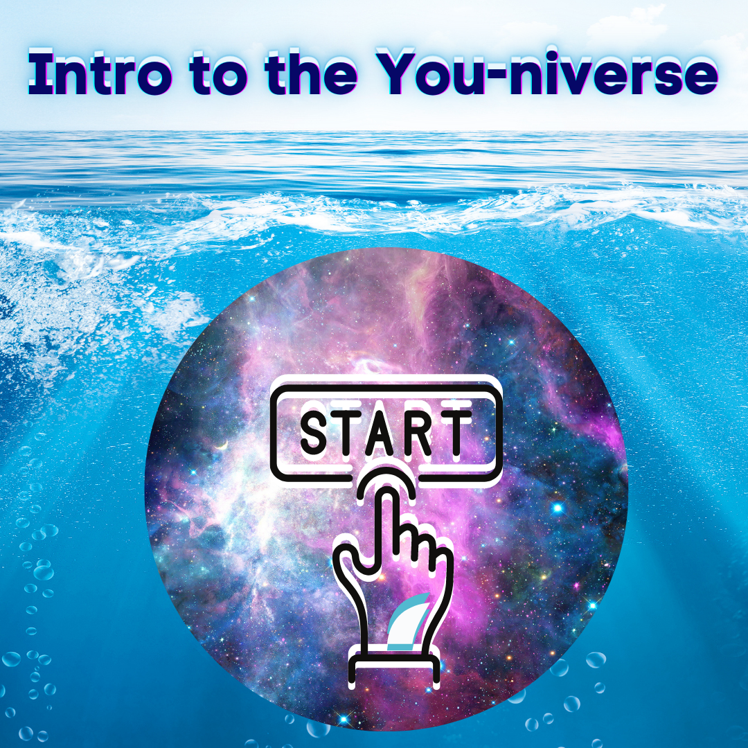 Intro to the You-niverse (1st-time) Consultation